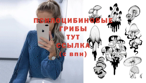 ешки Абаза