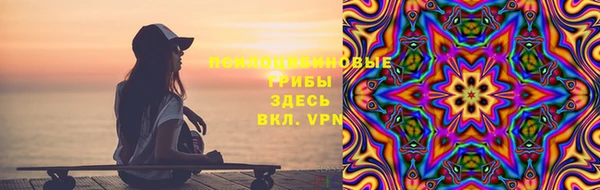 ешки Абаза