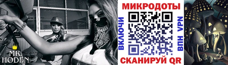 Галлюциногенные грибы прущие грибы  Тырныауз 